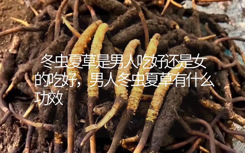冬蟲(chóng)夏草是男人吃好還是女的吃好,男人冬蟲(chóng)夏草有什么作用