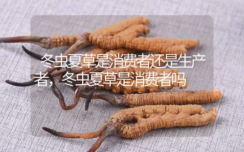 貧血吃冬蟲夏草有效果嗎，貧血虛弱者可以用冬蟲夏草嗎？