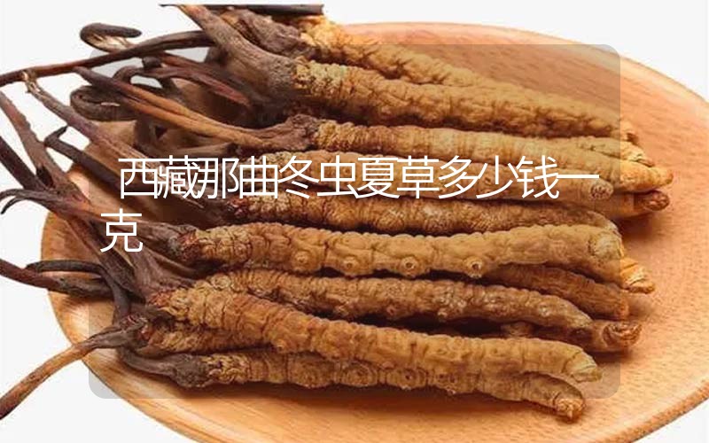 西藏那曲冬蟲(chóng)夏草多少錢(qián)一克?