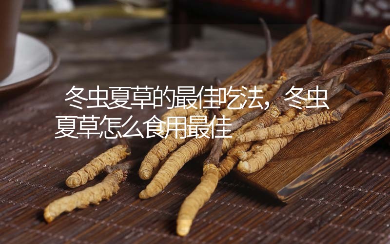 冬蟲夏草的最佳吃法,冬蟲夏草怎么食用最佳