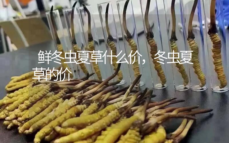 鮮冬蟲夏草什么價(jià),冬蟲夏草的價(jià)格