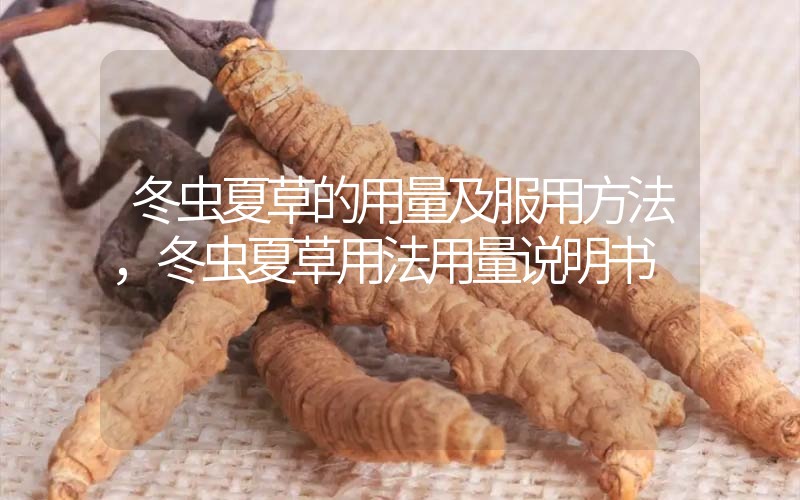冬蟲夏草的用量及服用方法,冬蟲夏草用法用量