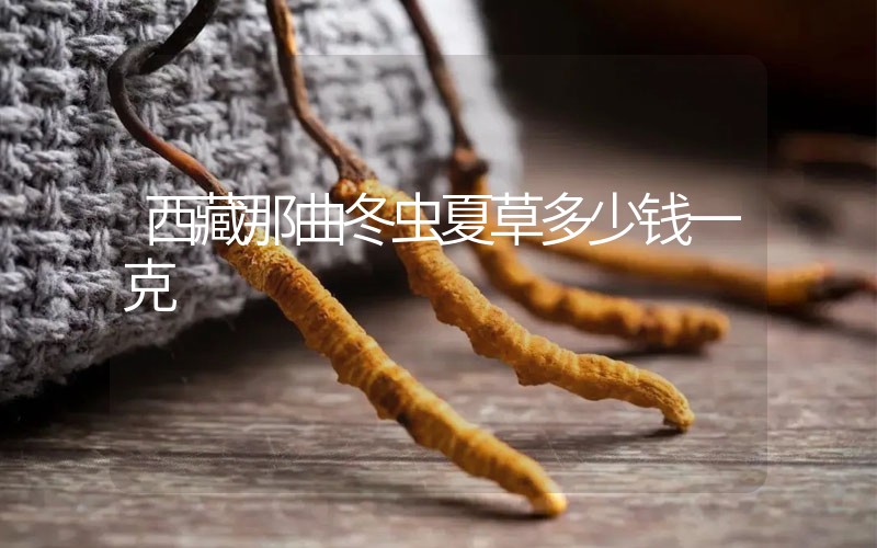 西藏那曲冬蟲(chóng)夏草多少錢(qián)一克?