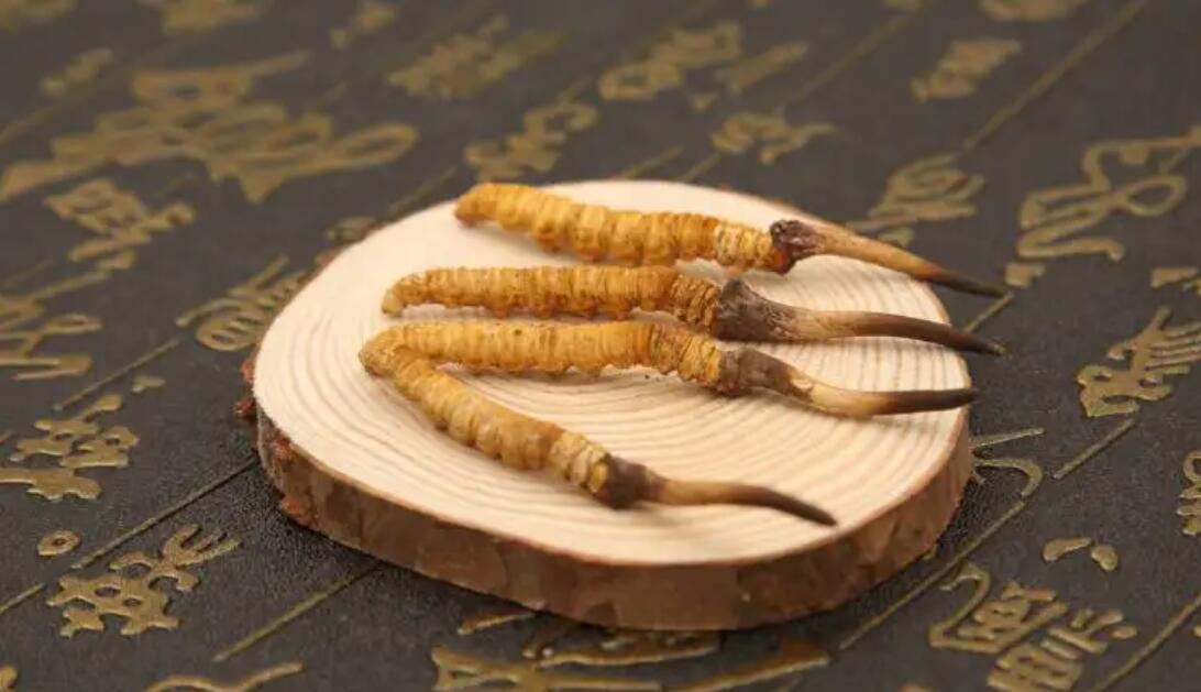 冬蟲(chóng)夏草小孩子能吃嗎?