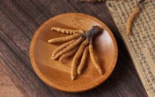 一看就知道，這才是真正的新鮮冬蟲夏草！