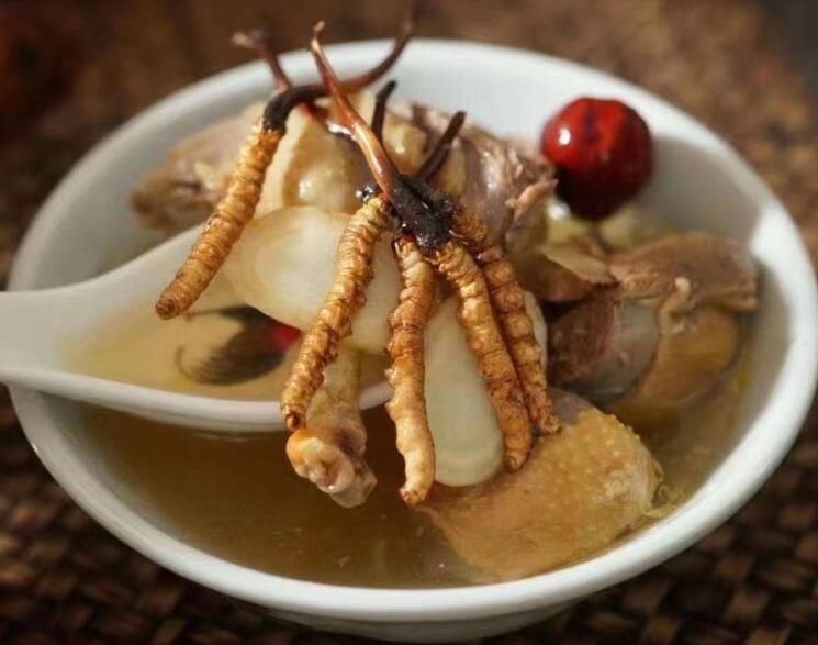 冬蟲(chóng)夏草可以空腹吃嗎?