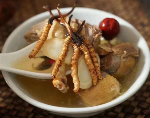 冬蟲夏草可以燉海鯽魚嗎?