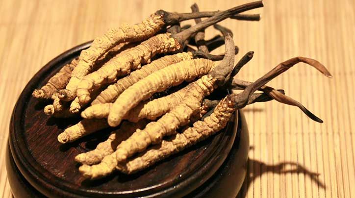 冬蟲(chóng)夏草的價(jià)格一克:為何如此昂貴?