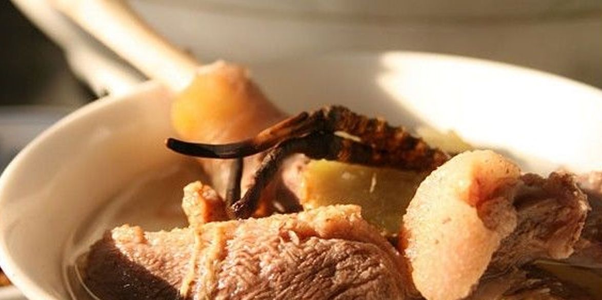 冬蟲夏草怎么吃?多種食用方法全解析