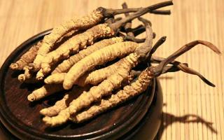 冬蟲(chóng)夏草的價(jià)格一克:為何如此昂貴?