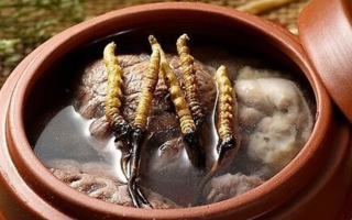 冬蟲夏草燉排骨 | 滋補養生的家常做法