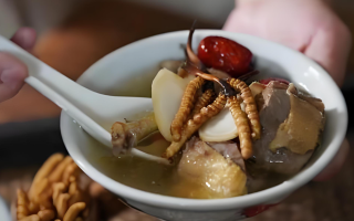 冬蟲夏草搭配有道,滋養肺部效果妙