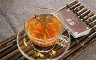 冬蟲夏草泡水時間全解析:泡多久才最有效?