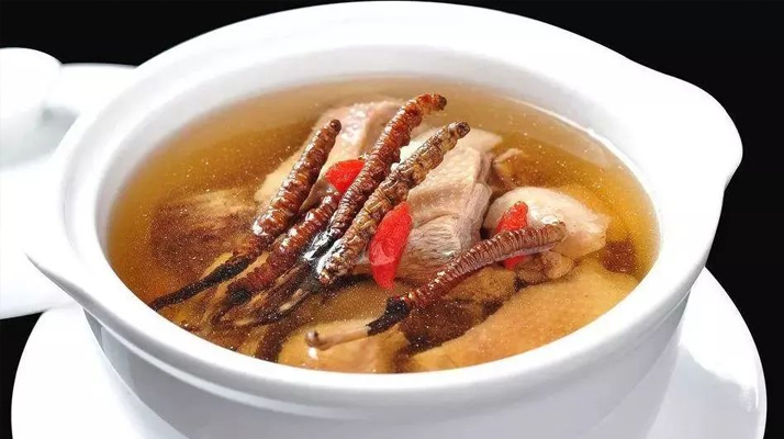 冬蟲夏草煲湯的最佳季節，喝對事半功倍