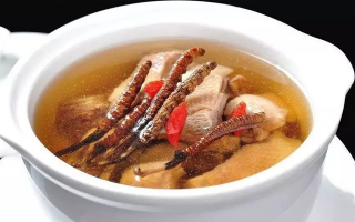 冬蟲(chóng)夏草煲湯的最佳季節(jié),喝對(duì)事半功倍