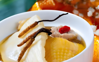 冬蟲夏草的正確吃法:鮮蟲草的獨特魅力與食用指南