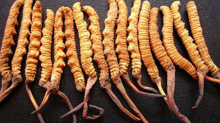 純野生<a href=http://m.hazone.cn/jiage/ target=_blank class=infotextkey>冬蟲夏草多少錢</a>一克？價格背后的秘密?