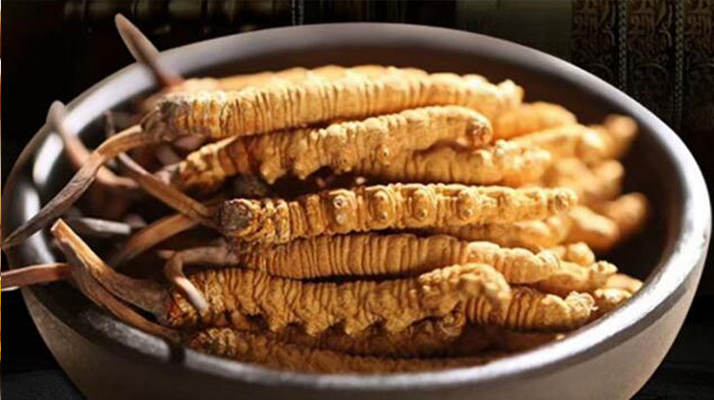 好的<a href=http://m.hazone.cn/jiage/ target=_blank class=infotextkey>冬蟲夏草多少錢</a>一克