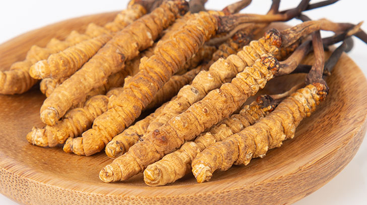 冬蟲夏草年產量多少