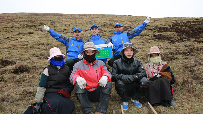 西藏冬蟲夏草的主要產地:品質與地域特色詳解