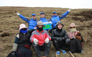 西藏冬蟲夏草的主要產地:品質與地域特色詳解