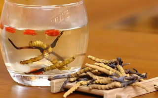 長期喝冬蟲夏草泡水好嗎?科學分析與飲用指南