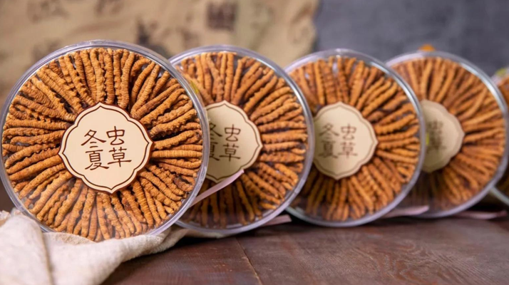 把握黃金時段!冬蟲夏草在這些時候吃效果更佳