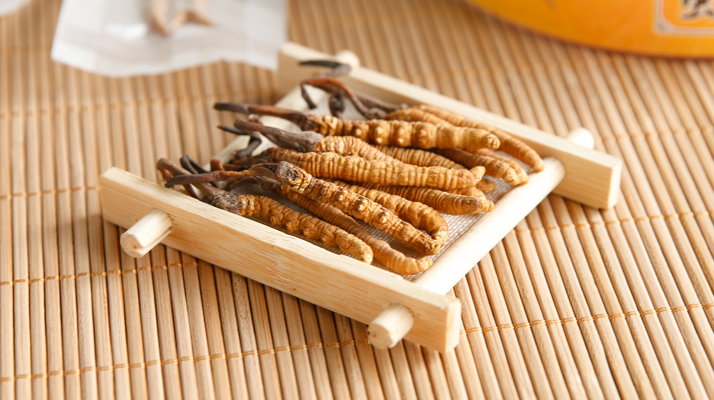 這些藥材形似冬蟲夏草,辨別要點需牢記