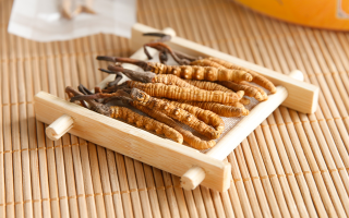 這些藥材形似冬蟲夏草,辨別要點需牢記