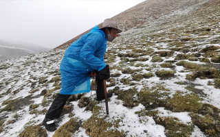 西藏挖冬蟲夏草在什么時(shí)候?產(chǎn)區(qū)與時(shí)間全攻略