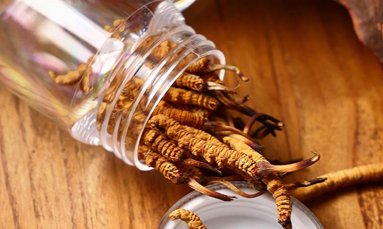 <a href=http://m.hazone.cn/jiage/ target=_blank class=infotextkey>冬蟲夏草多少錢</a>一條