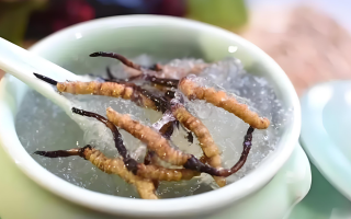 十根冬蟲夏草能泡幾斤酒?泡酒比例與細節指南