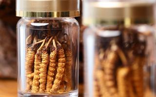 送冬蟲夏草給男孩子好嗎?分場景分析 + 送禮建議