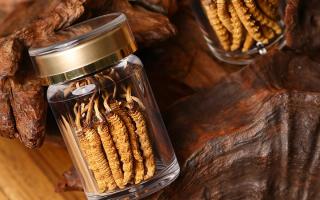 鮮冬蟲夏草泡水后怎么保存?3 種場景保存方法 + 避坑指南